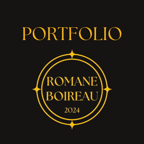 Image illustrant le projet