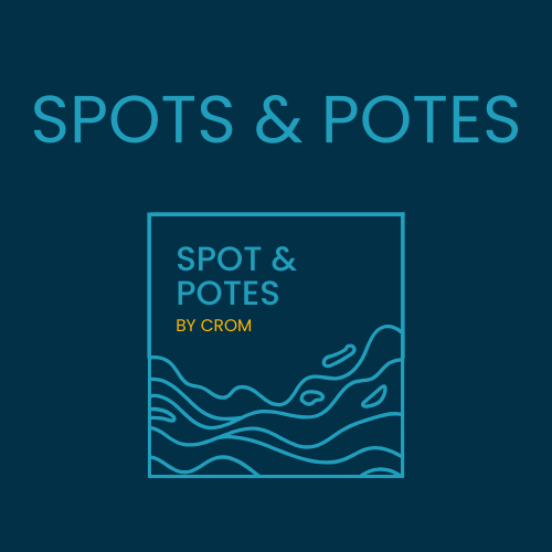 Image illustrant le projet